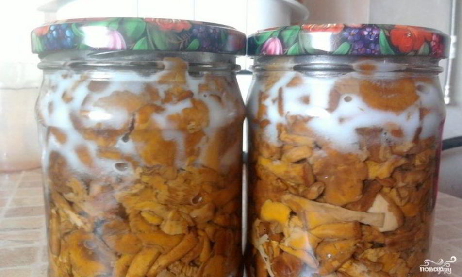 Рецепт заготовка лисичек на зиму