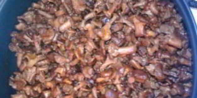 заготовка лисичек на зиму