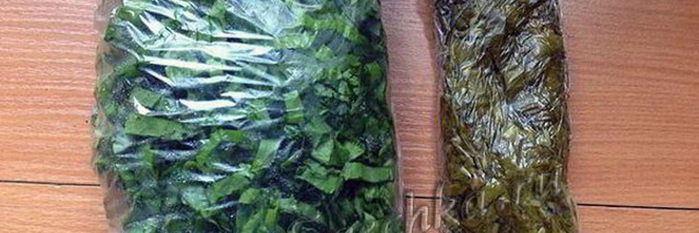 Заготовка щавеля на зиму