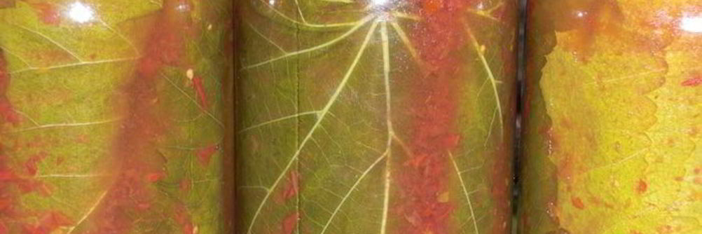 Заготовка виноградных листьев