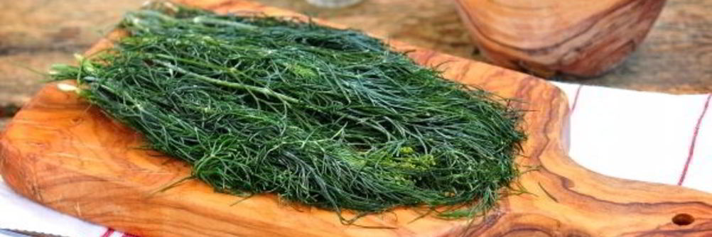 Замороженный укроп на зиму