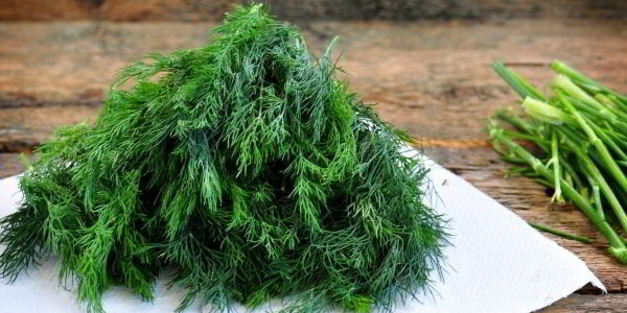 замороженный укроп на зиму