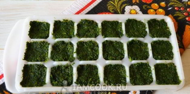 заморозка кинзы на зиму