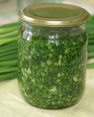 Зеленый лук на зиму