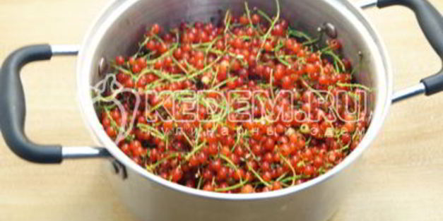 желе из красной смородины на зиму