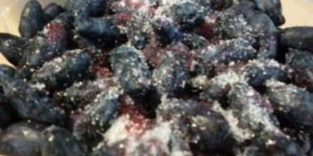 жимолость на зиму