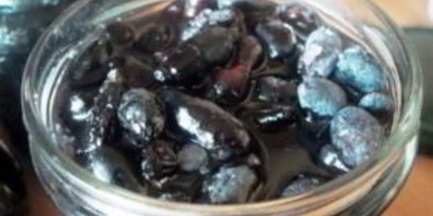 жимолость на зиму