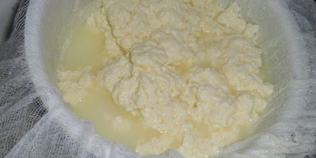 бутерброды с домашним мягким сыром на хлебцах