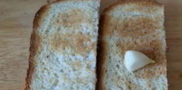 вкусные бутерброды