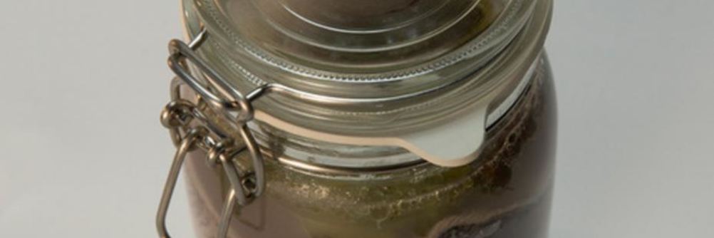 Маринованный сиг