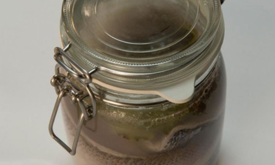 Рецепт маринованный сиг