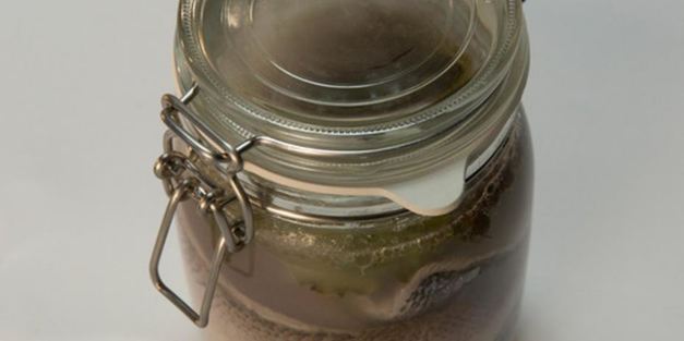 маринованный сиг