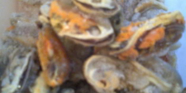 морской омлет