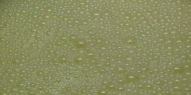 омлет на воде