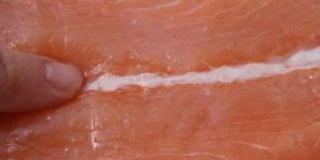 омлет с лососем