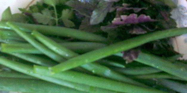 омлет витаминка