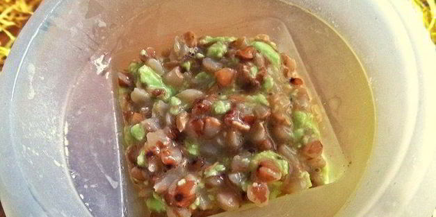 порционный омлет с гречкой