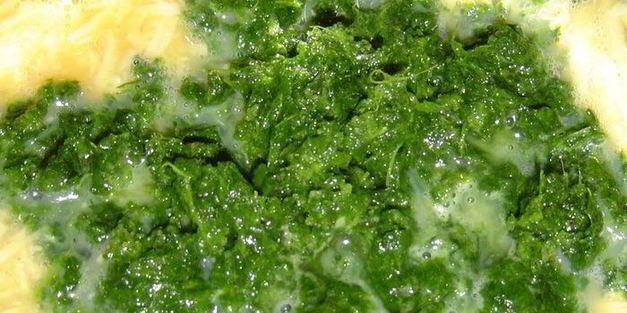 закуска из омлета, сыра и красной рыбы