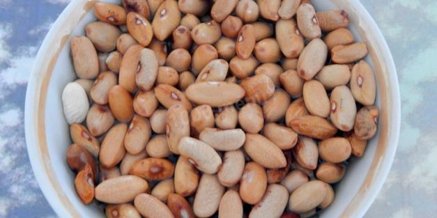 паштет из фасоли