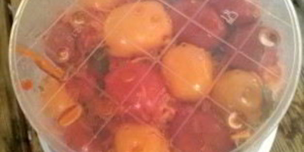 помидоры с морковкой