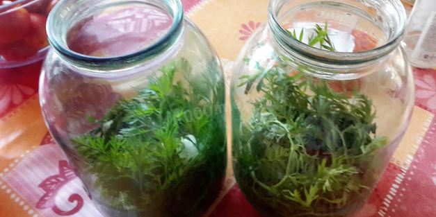 помидоры с морковной ботвой и лаврушкой на зиму