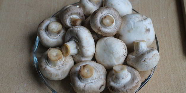 кабачковый рулет с грибами