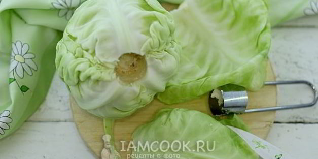 капустные рулетики с белым соусом на пару