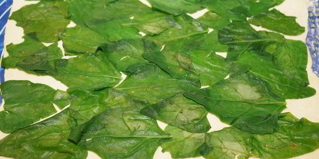 куриный рулет с черносливом в слоеной шубке