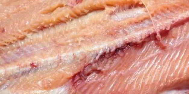 рулет из горбуши, фаршированный омлетом, грибами и луком