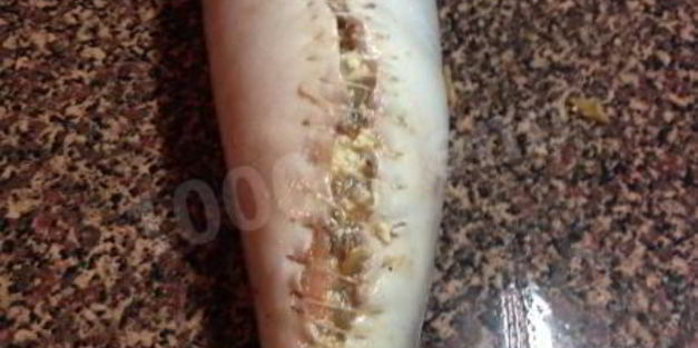 рулет из горбуши, фаршированный омлетом, грибами и луком