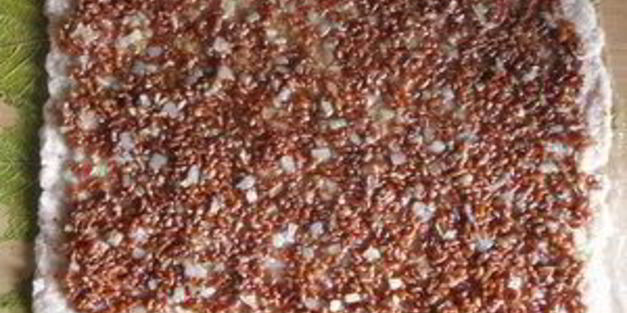 рулет из индейки в виноградных листьях, фаршированный рисом и баклажанами