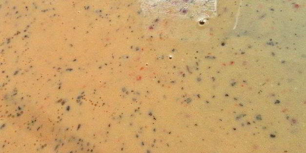 яичный рулет с печенкой