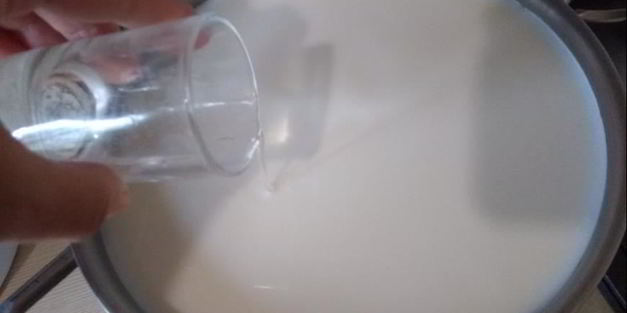 сыр фета из коровьего молока