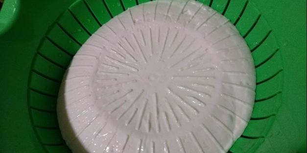 сыр фета из коровьего молока