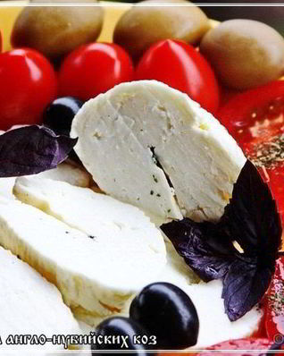 Сыр Халуми и Анари из молока англо-нубийских коз