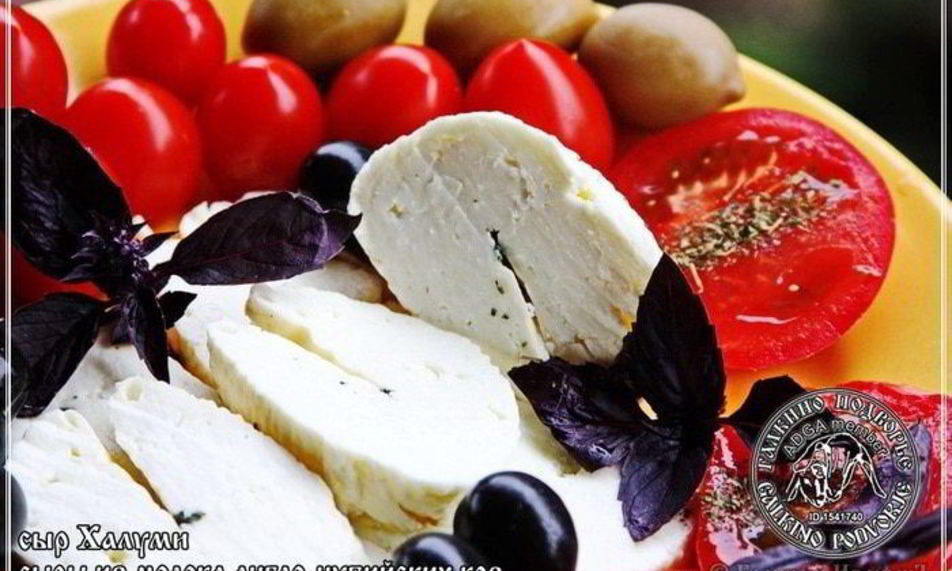 Рецепт сыр халуми и анари из молока англо-нубийских коз