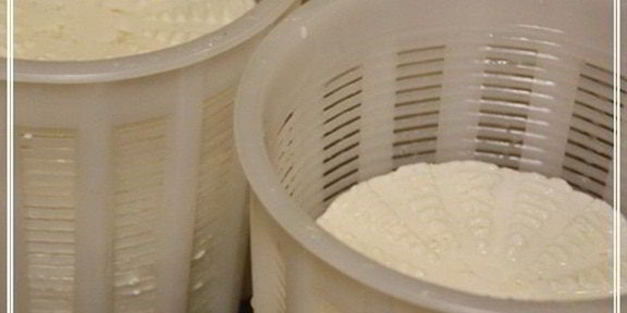 сыр халуми и анари из молока англо-нубийских коз