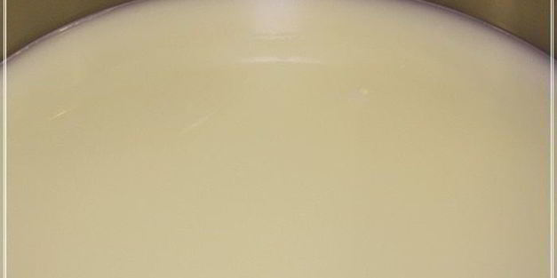 сыр халуми и анари из молока англо-нубийских коз