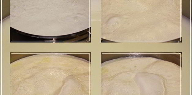 сыр халуми и анари из молока англо-нубийских коз