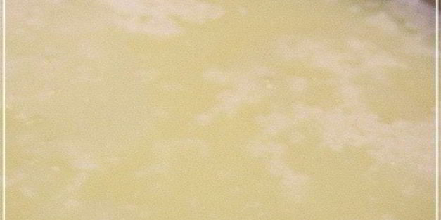 сыр халуми и анари из молока англо-нубийских коз