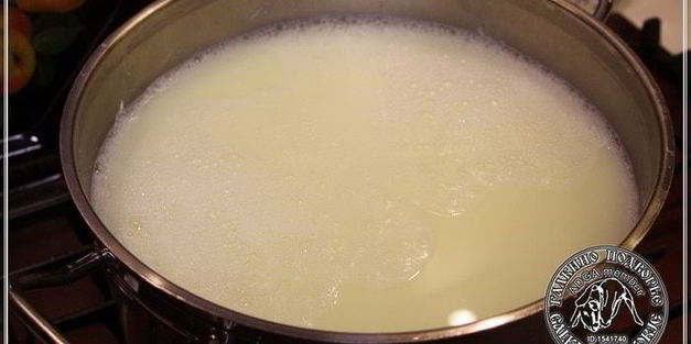 сыр халуми и анари из молока англо-нубийских коз