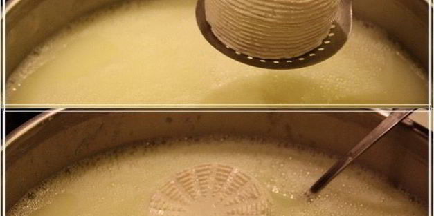 сыр халуми и анари из молока англо-нубийских коз