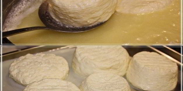 сыр халуми и анари из молока англо-нубийских коз