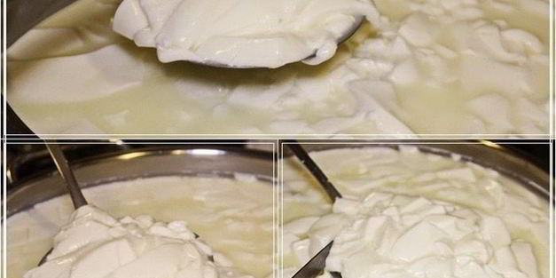 сыр халуми и анари из молока англо-нубийских коз